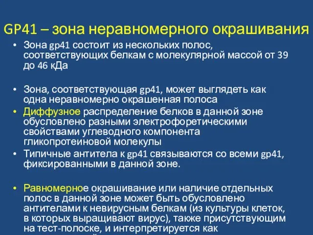 GP41 – зона неравномерного окрашивания Зона gp41 состоит из нескольких полос, соответствующих