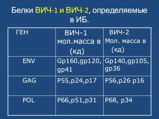 Белки ВИЧ-1 и ВИЧ-2, определяемые в ИБ.