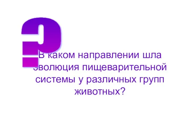 В каком направлении шла эволюция пищеварительной системы у различных групп животных? ?