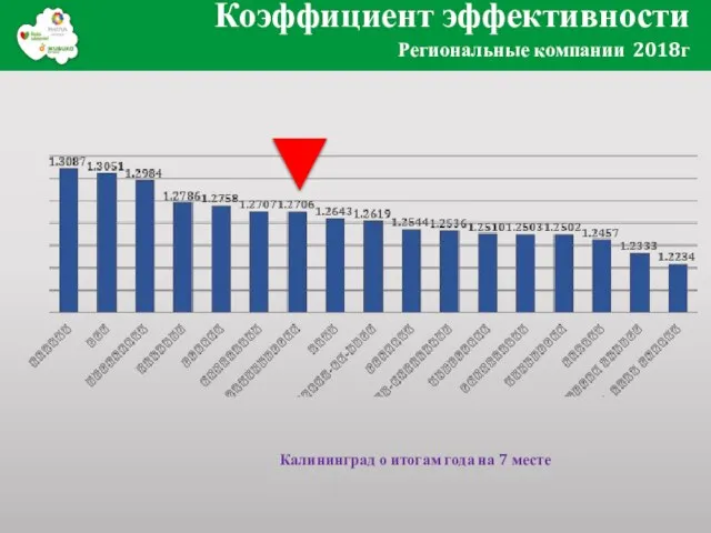 Коэффициент эффективности Региональные компании 2018г Калининград о итогам года на 7 месте