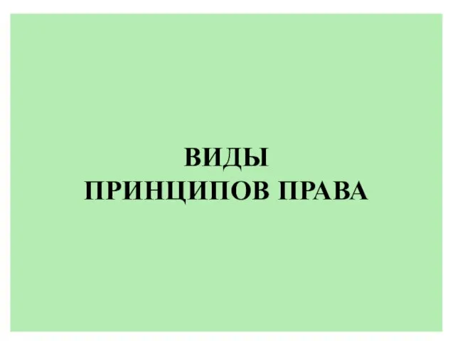 ВИДЫ ПРИНЦИПОВ ПРАВА