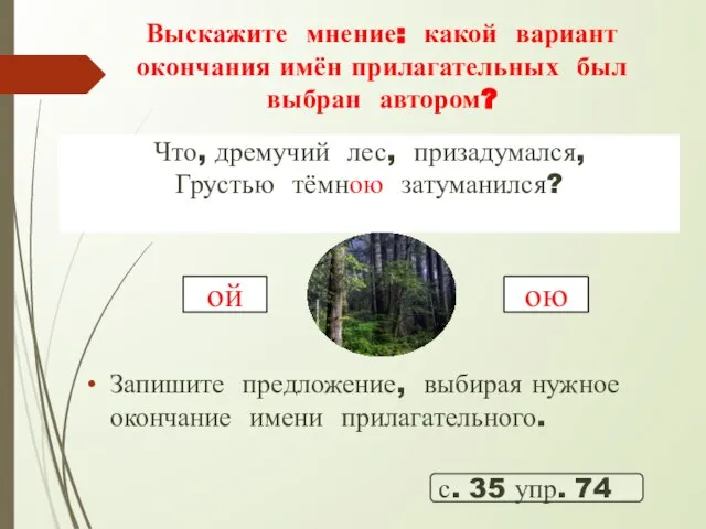 Выскажите мнение: какой вариант окончания имён прилагательных был выбран автором? с. 35