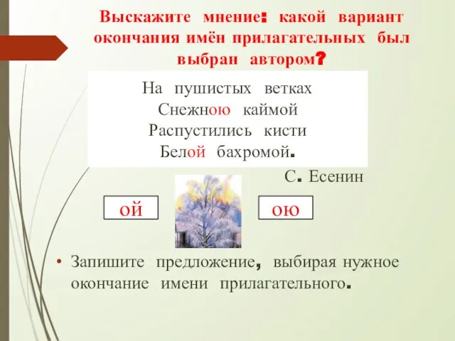 Выскажите мнение: какой вариант окончания имён прилагательных был выбран автором? Запишите предложение,