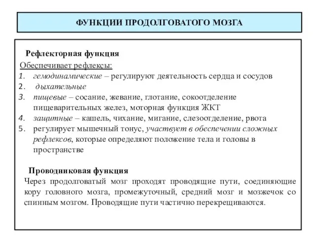 ФУНКЦИИ ПРОДОЛГОВАТОГО МОЗГА Рефлекторная функция Обеспечивает рефлексы: гемодинамические – регулируют деятельность сердца