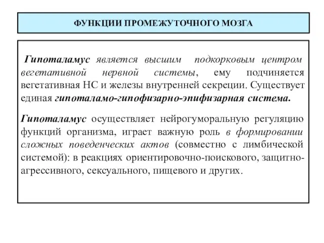 ФУНКЦИИ ПРОМЕЖУТОЧНОГО МОЗГА Гипоталамус является высшим подкорковым центром вегетативной нервной системы, ему