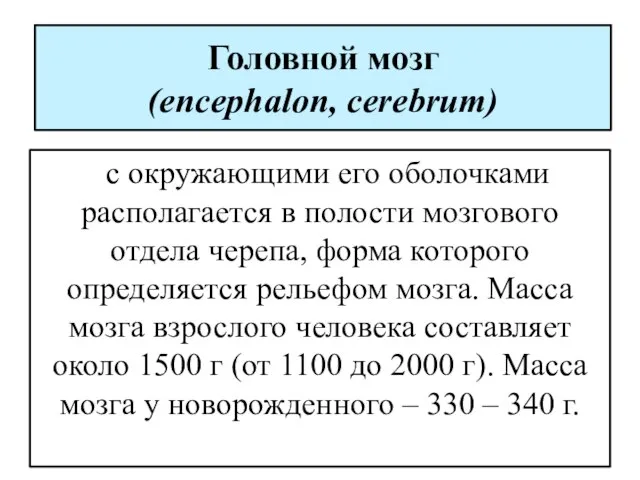 Головной мозг (encephalon, cerebrum) с окружающими его оболочками располагается в полости мозгового