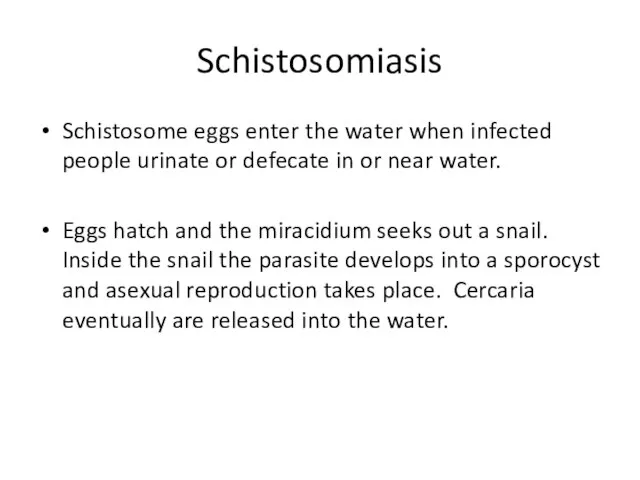 Schistosomiasis Schistosome eggs enter the water when infected people urinate or defecate