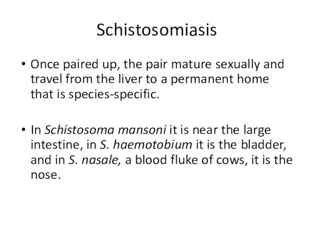 Schistosomiasis Once paired up, the pair mature sexually and travel from the