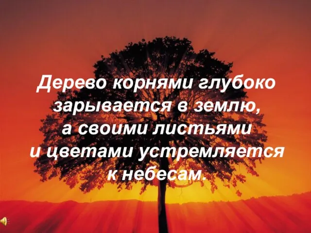 Дерево корнями глубоко зарывается в землю, а своими листьями и цветами устремляется