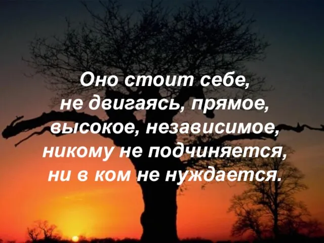 Оно стоит себе, не двигаясь, прямое, высокое, независимое, никому не подчиняется, ни в ком не нуждается.