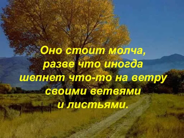 Оно стоит молча, разве что иногда шепнет что-то на ветру своими ветвями и листьями.