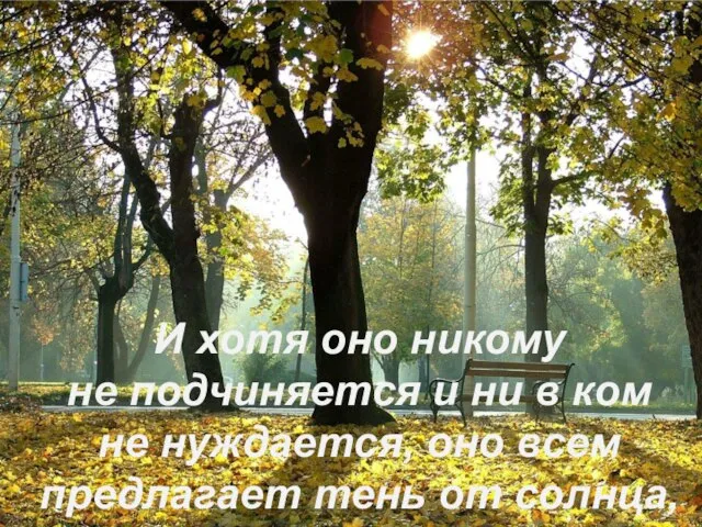 И хотя оно никому не подчиняется и ни в ком не нуждается,