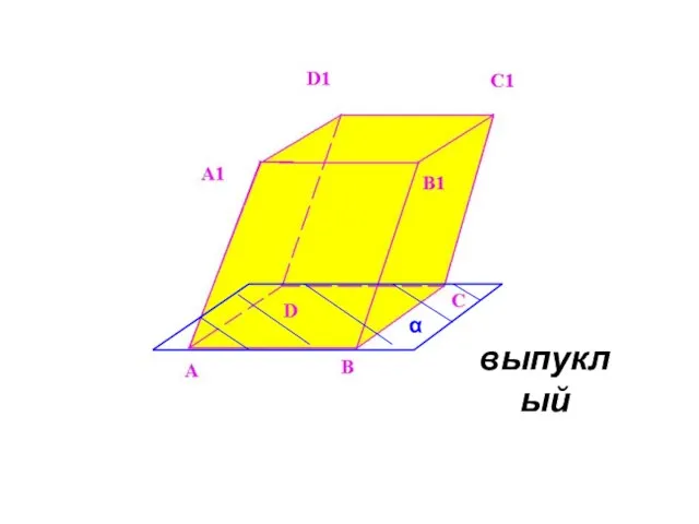 выпуклый