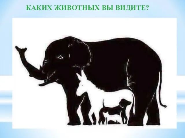 ? КАКИХ ЖИВОТНЫХ ВЫ ВИДИТЕ?