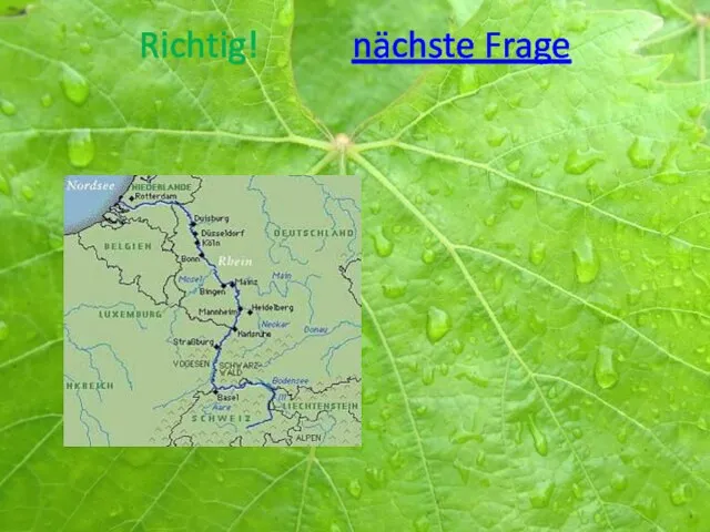 Richtig! nächste Frage