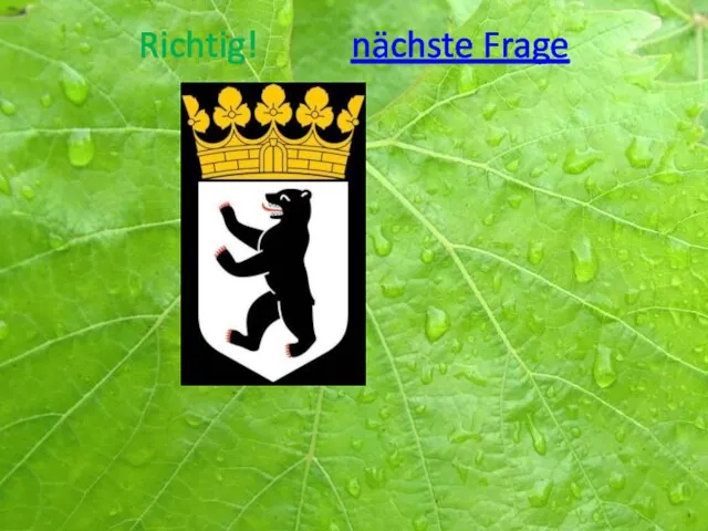 Richtig! nächste Frage