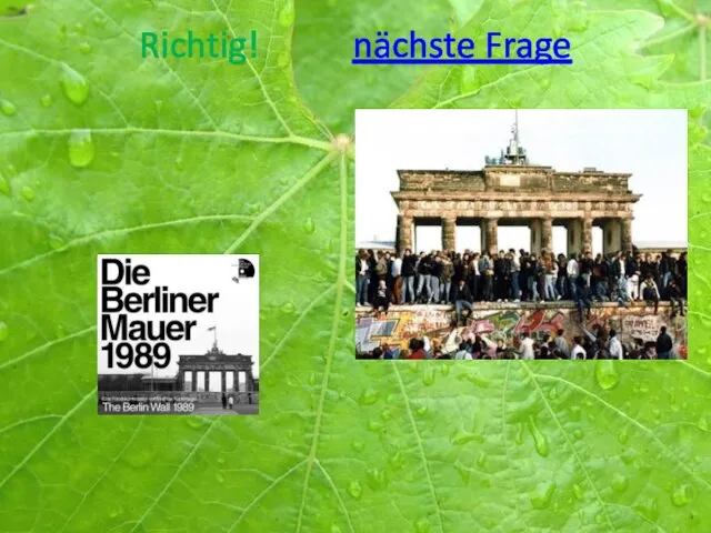 Richtig! nächste Frage