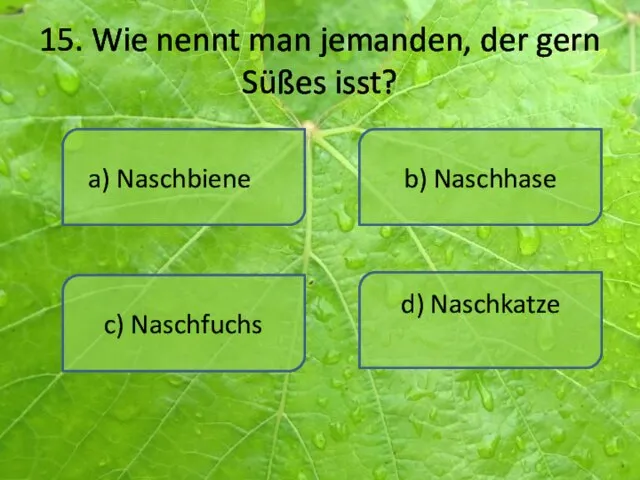 15. Wie nennt man jemanden, der gern Süßes isst? a) Naschbiene d)