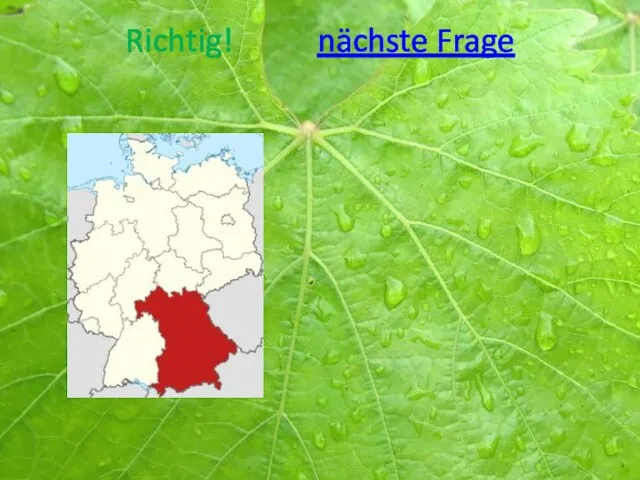 Richtig! nächste Frage