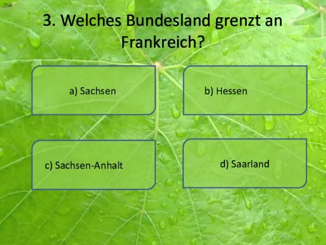 3. Welches Bundesland grenzt an Frankreich? a) Sachsen d) Saarland b) Hessen c) Sachsen-Anhalt