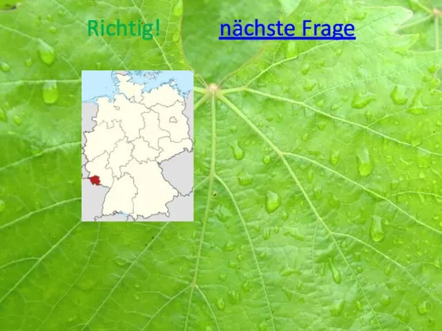 Richtig! nächste Frage