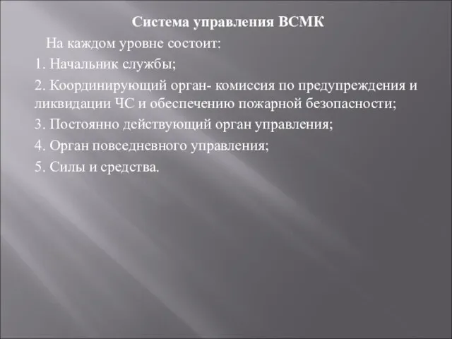 Система управления ВСМК На каждом уровне состоит: 1. Начальник службы; 2. Координирующий