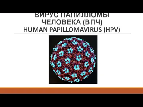 ВИРУС ПАПИЛЛОМЫ ЧЕЛОВЕКА (ВПЧ) HUMAN PAPILLOMAVIRUS (HPV)