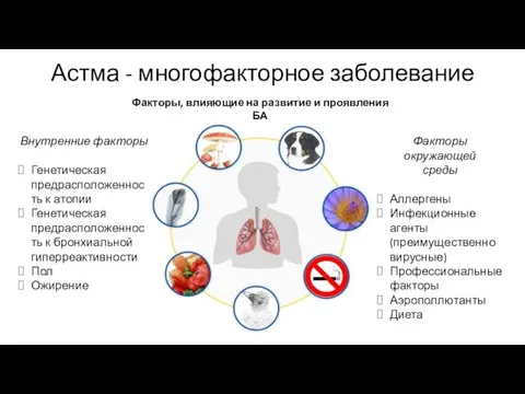 Астма - многофакторное заболевание Внутренние факторы Генетическая предрасположенность к атопии Генетическая предрасположенность