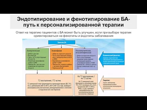 Эндотипирование и фенотипирование БА- путь к персонализированной терапии Ответ на терапию пациентов