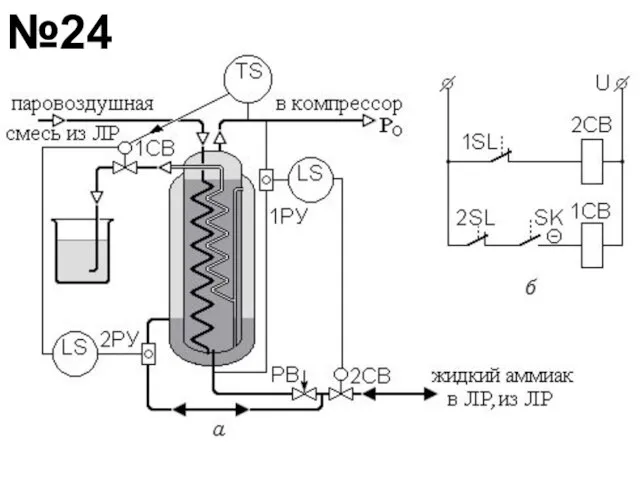 №24