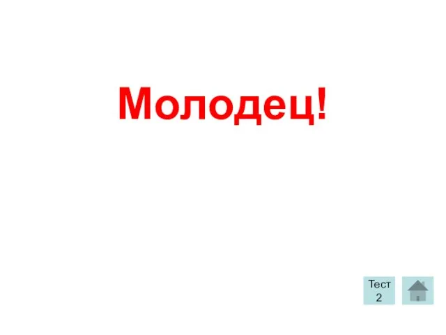 Молодец! Тест 2