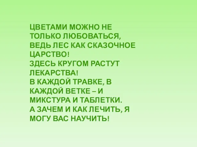 ЦВЕТАМИ МОЖНО НЕ ТОЛЬКО ЛЮБОВАТЬСЯ, ВЕДЬ ЛЕС КАК СКАЗОЧНОЕ ЦАРСТВО! ЗДЕСЬ КРУГОМ