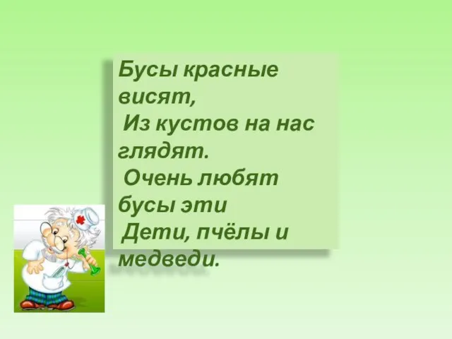 Бусы красные висят, Из кустов на нас глядят. Очень любят бусы эти Дети, пчёлы и медведи.