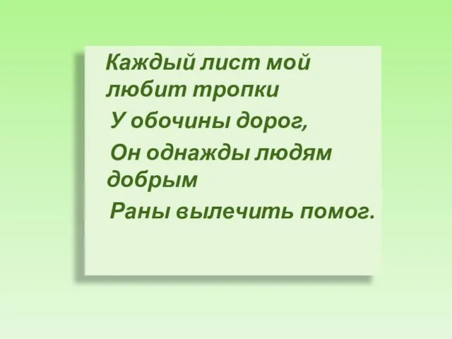 Каждый лист мой любит тропки У обочины дорог, Он однажды людям добрым Раны вылечить помог.