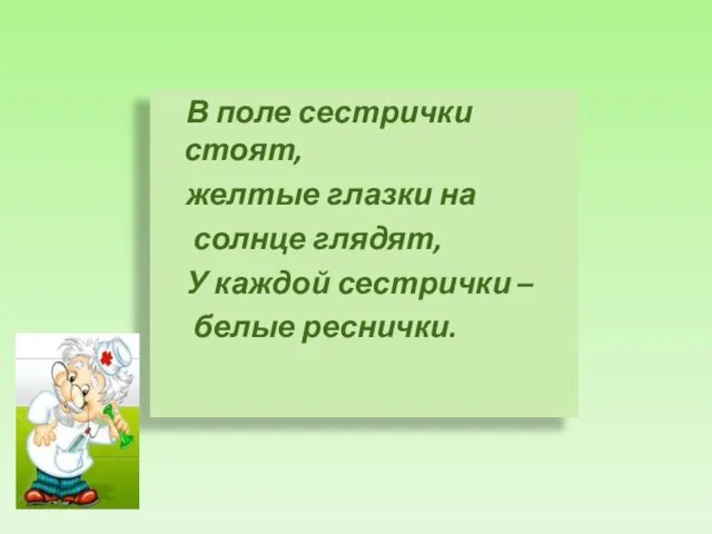 В поле сестрички стоят, желтые глазки на солнце глядят, У каждой сестрички – белые реснички.