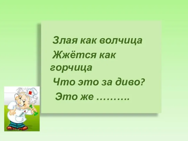 Злая как волчица Жжётся как горчица Что это за диво? Это же ……….