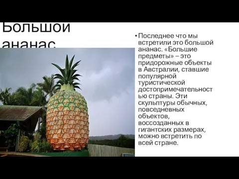 Большой ананас Последнее что мы встретили это большой ананас. «Большие предметы» –