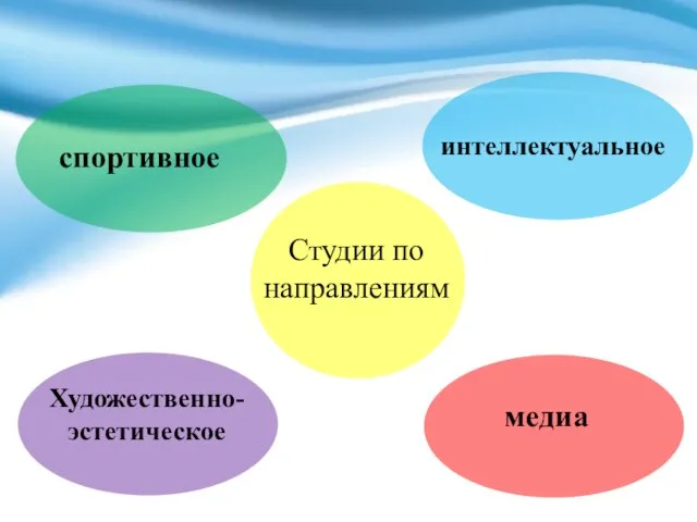 Студии по направлениям интеллектуальное медиа спортивное Художественно-эстетическое