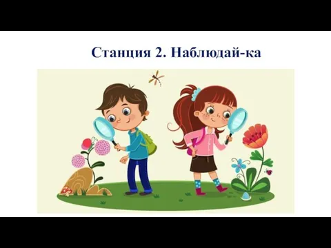 Станция 2. Наблюдай-ка