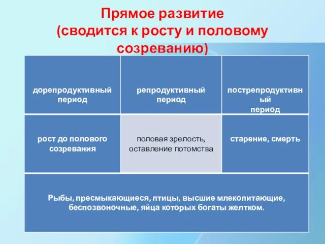 Прямое развитие (сводится к росту и половому созреванию)