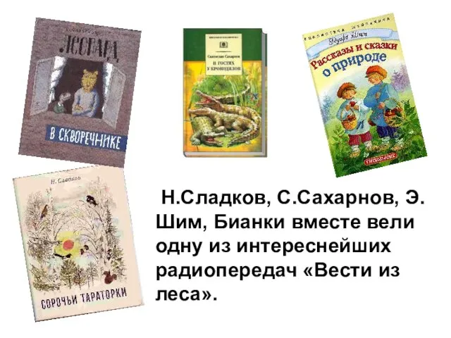 Н.Сладков, С.Сахарнов, Э.Шим, Бианки вместе вели одну из интереснейших радиопередач «Вести из леса».