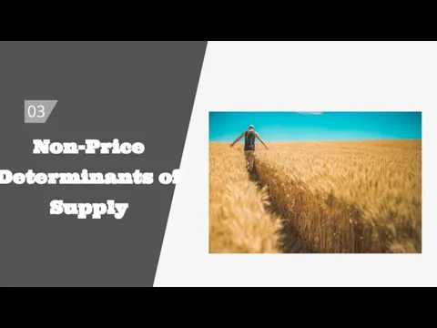 Non-Price Determinants of Supply 03