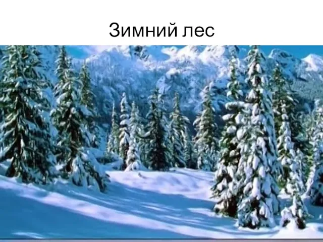 Зимний лес