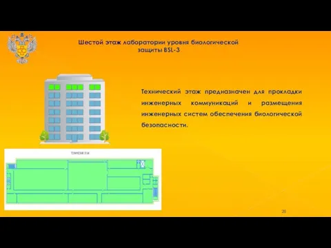 Шестой этаж лаборатории уровня биологической защиты BSL-3 Технический этаж предназначен для прокладки