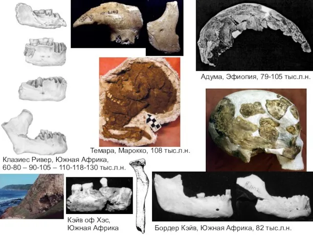 Клазиес Ривер, Южная Африка, 60-80 – 90-105 – 110-118-130 тыс.л.н. Адума, Эфиопия,