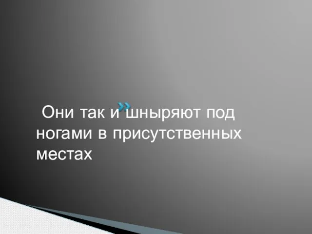 Они так и шныряют под ногами в присутственных местах