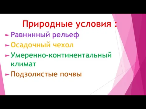 Природные условия : Равнинный рельеф Осадочный чехол Умеренно-континентальный климат Подзолистые почвы