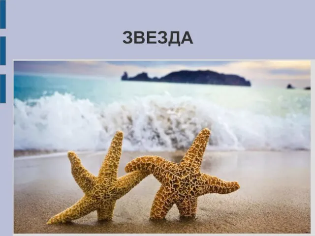 ЗВЕЗДА