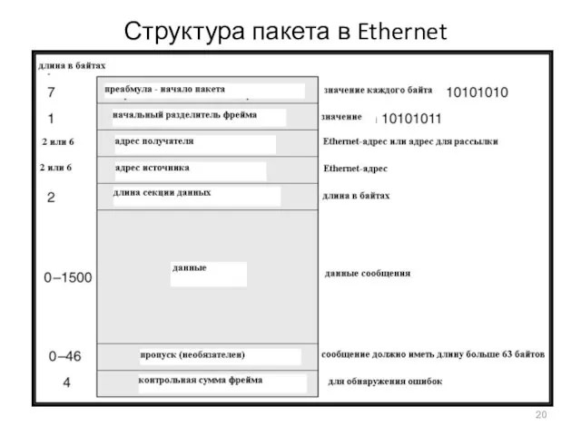 Структура пакета в Ethernet