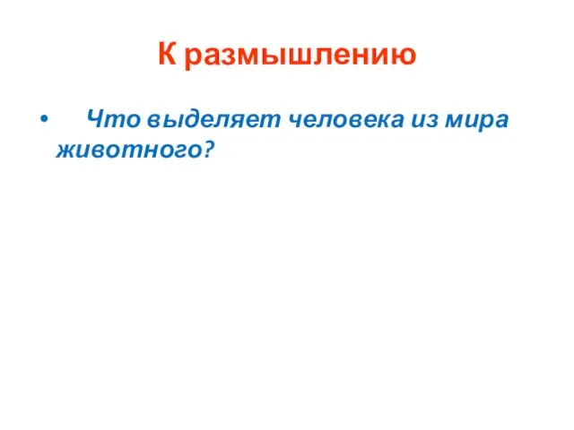 К размышлению Что выделяет человека из мира животного?